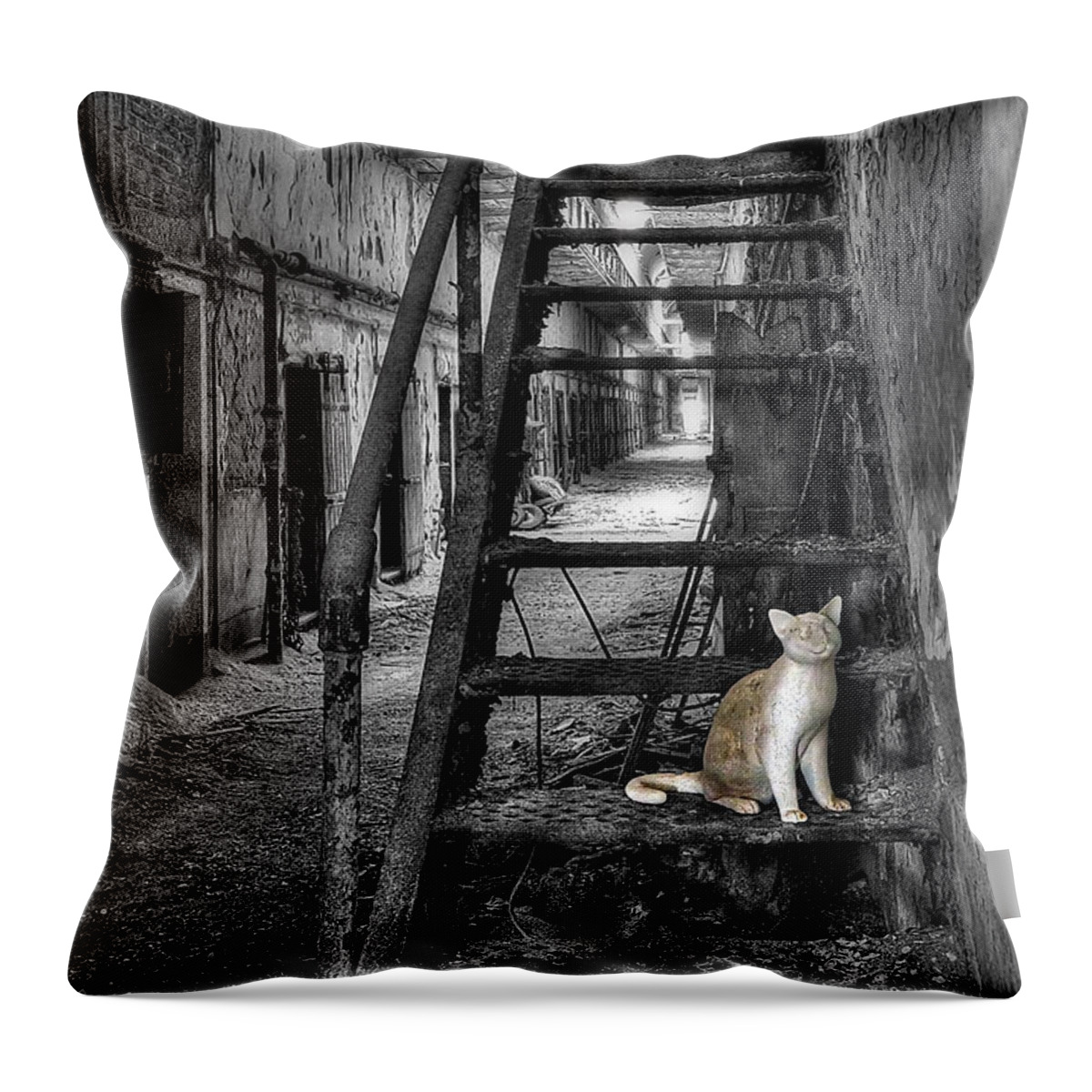 Abandoned Throw Pillow featuring the photograph Here Kitty Kitty Kitty... by Evelina Kremsdorf