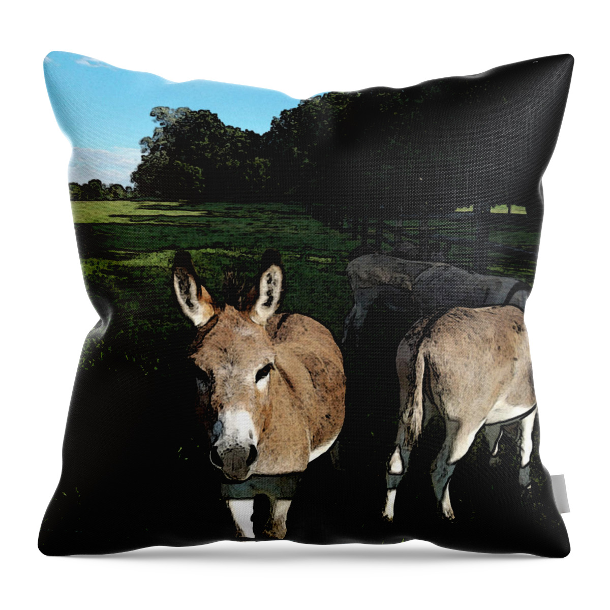 Donkeys Throw Pillow featuring the photograph Hey There by Susan Esbensen