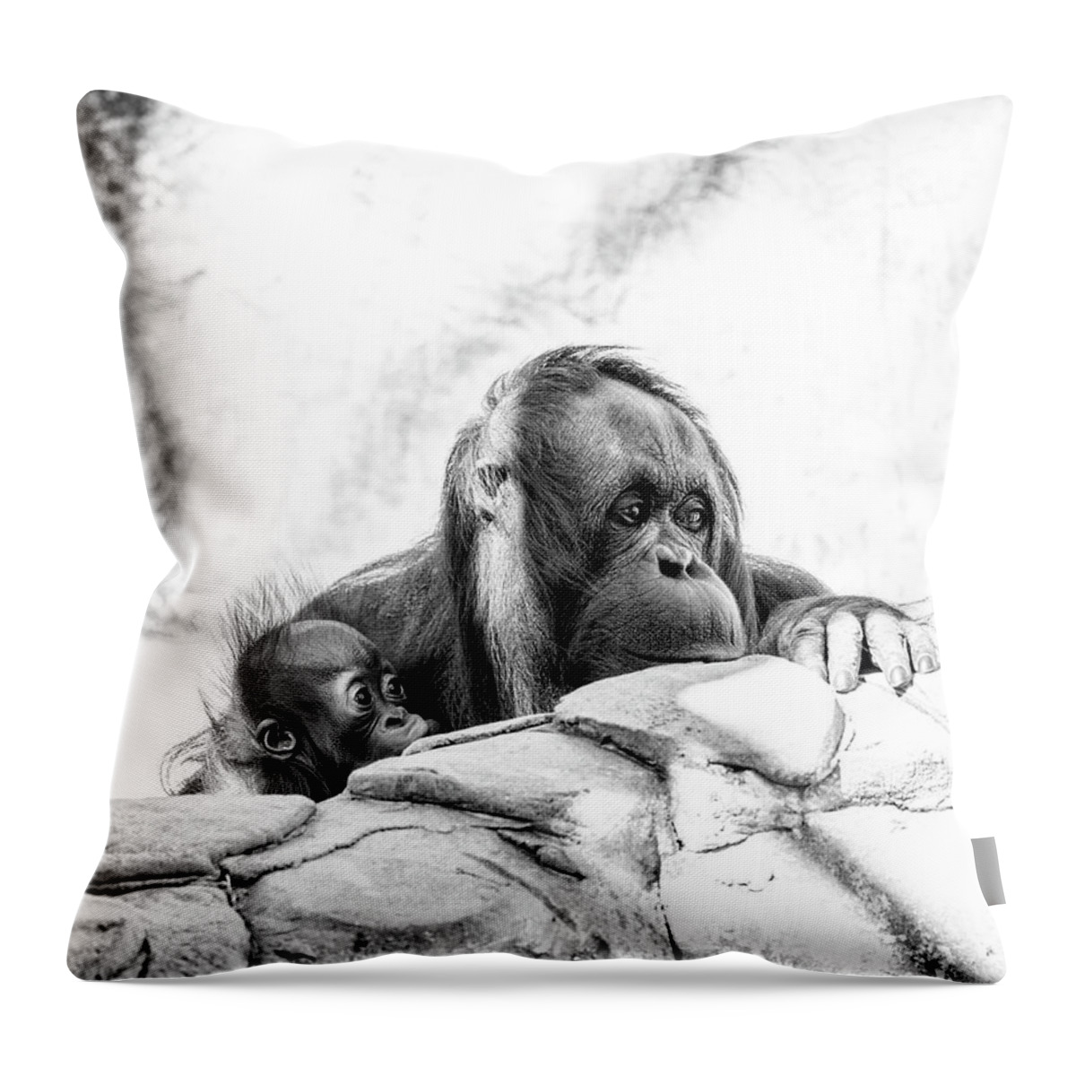 Crystal Yingling Throw Pillow featuring the photograph Hiding by Ghostwinds Photography