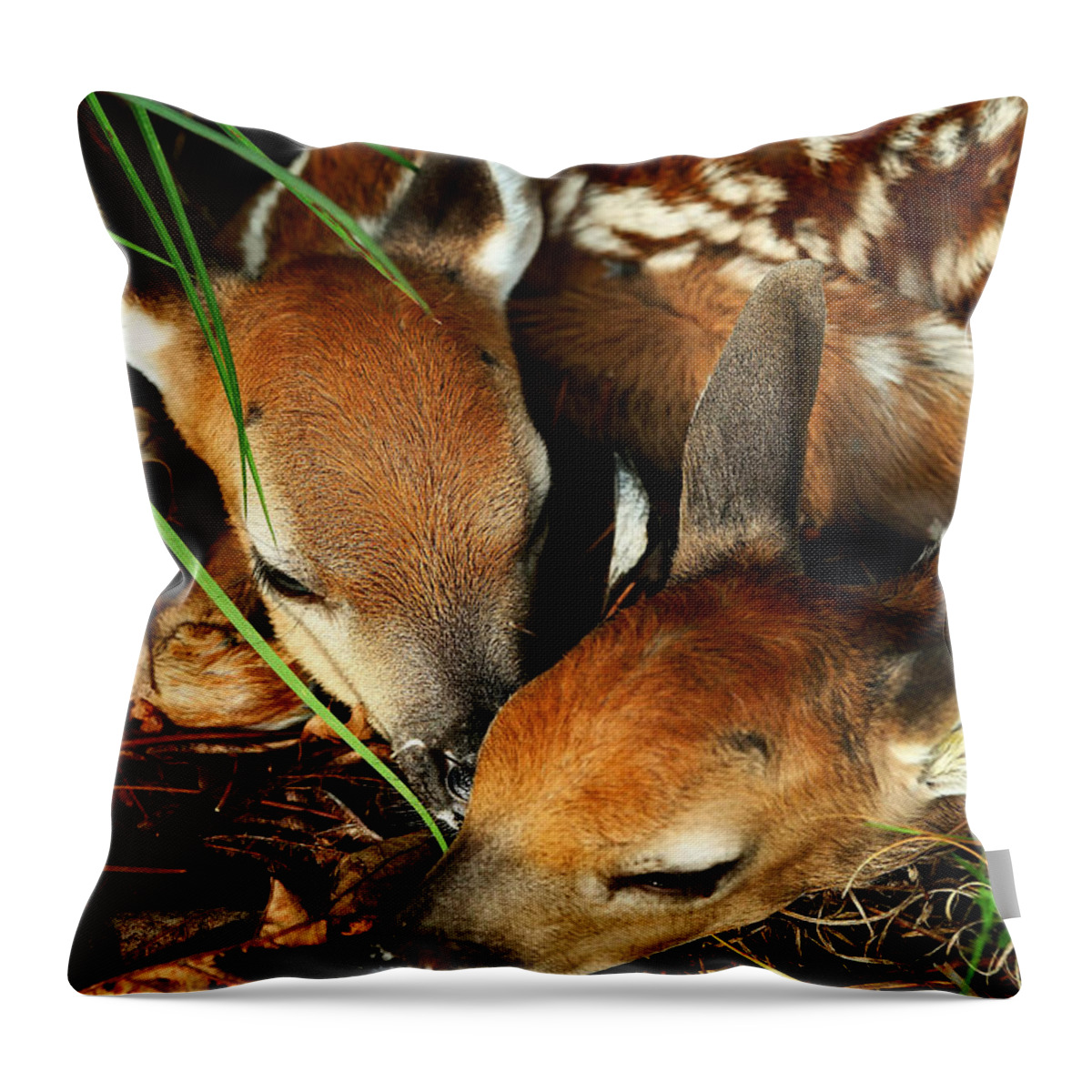 Fawns Throw Pillow featuring the photograph Hiding Twin Whitetail Fawns by Michael Dougherty