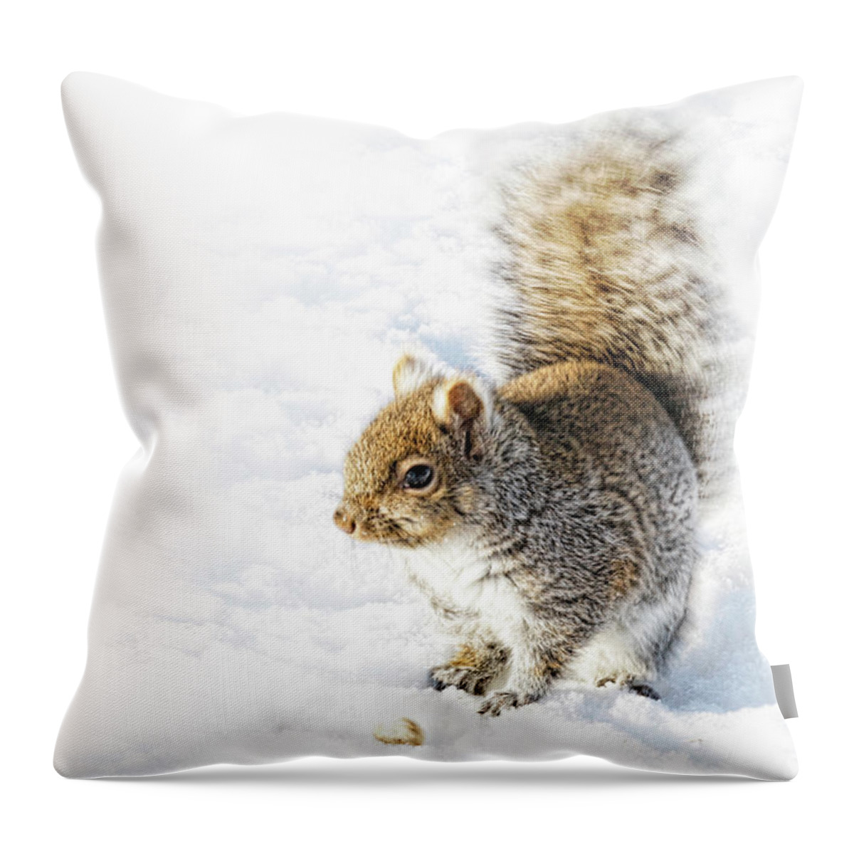 Squirrel Throw Pillow featuring the photograph High Key Squirrel by Tatiana Travelways