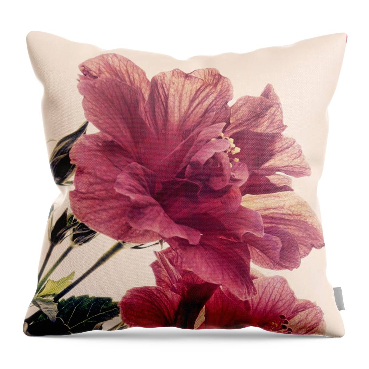 Hibiscus Throw Pillow featuring the photograph High on Life by Leda Robertson