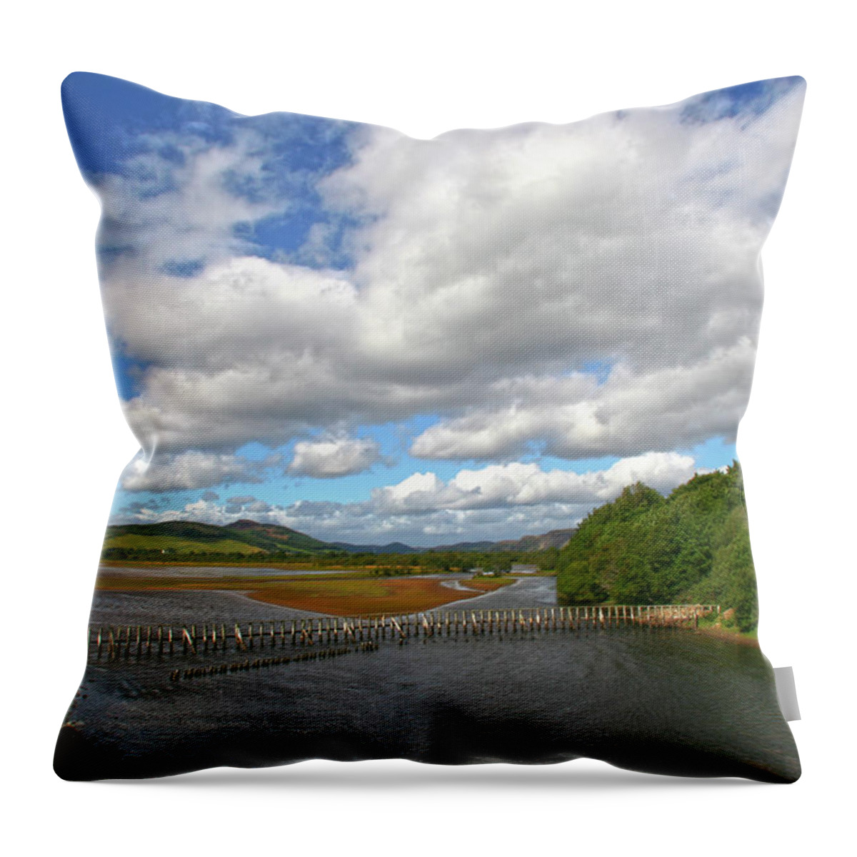 Scotland Throw Pillow featuring the photograph Highland Brora by Robert Och