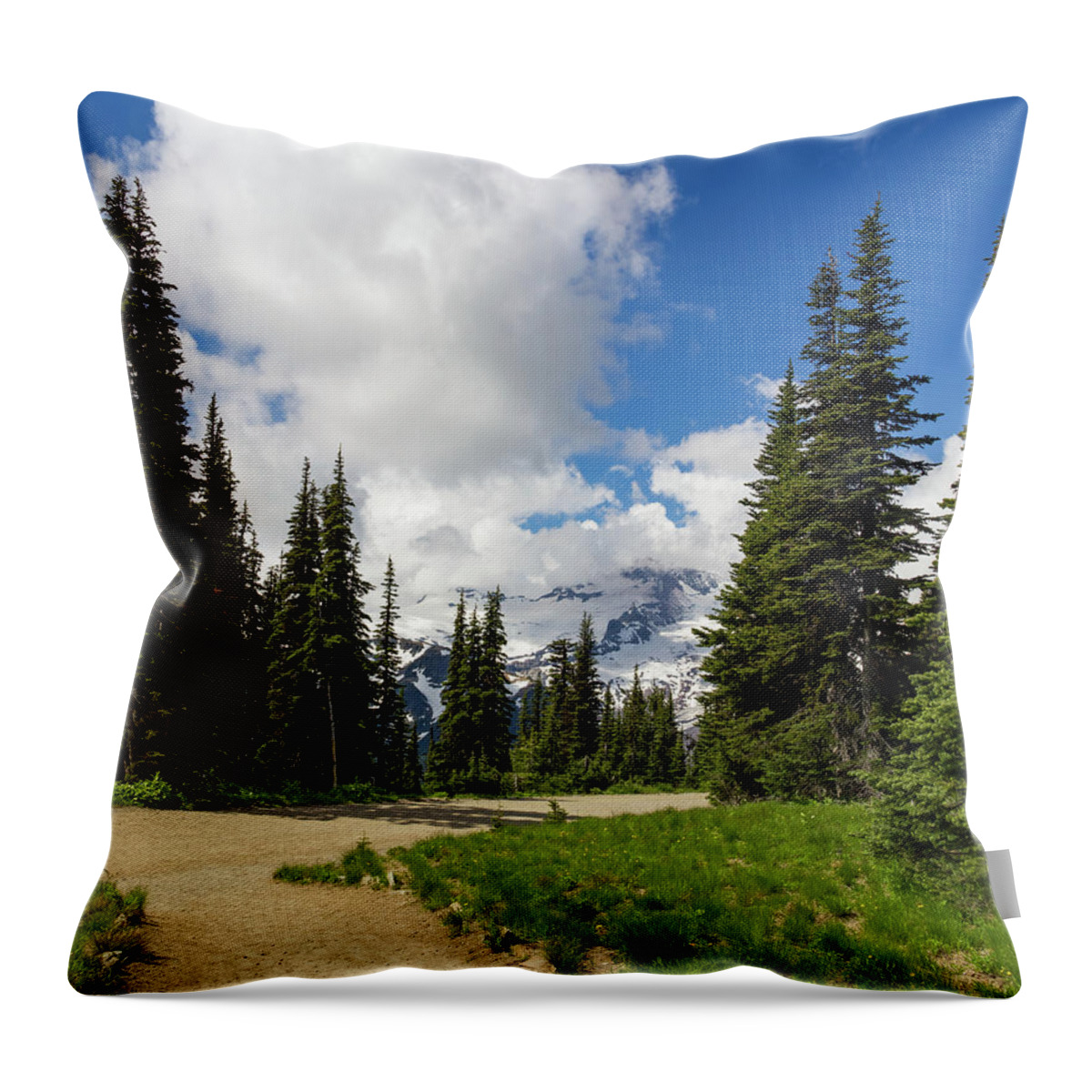 Washington Throw Pillow featuring the photograph Hiking Path into the trees by Roslyn Wilkins
