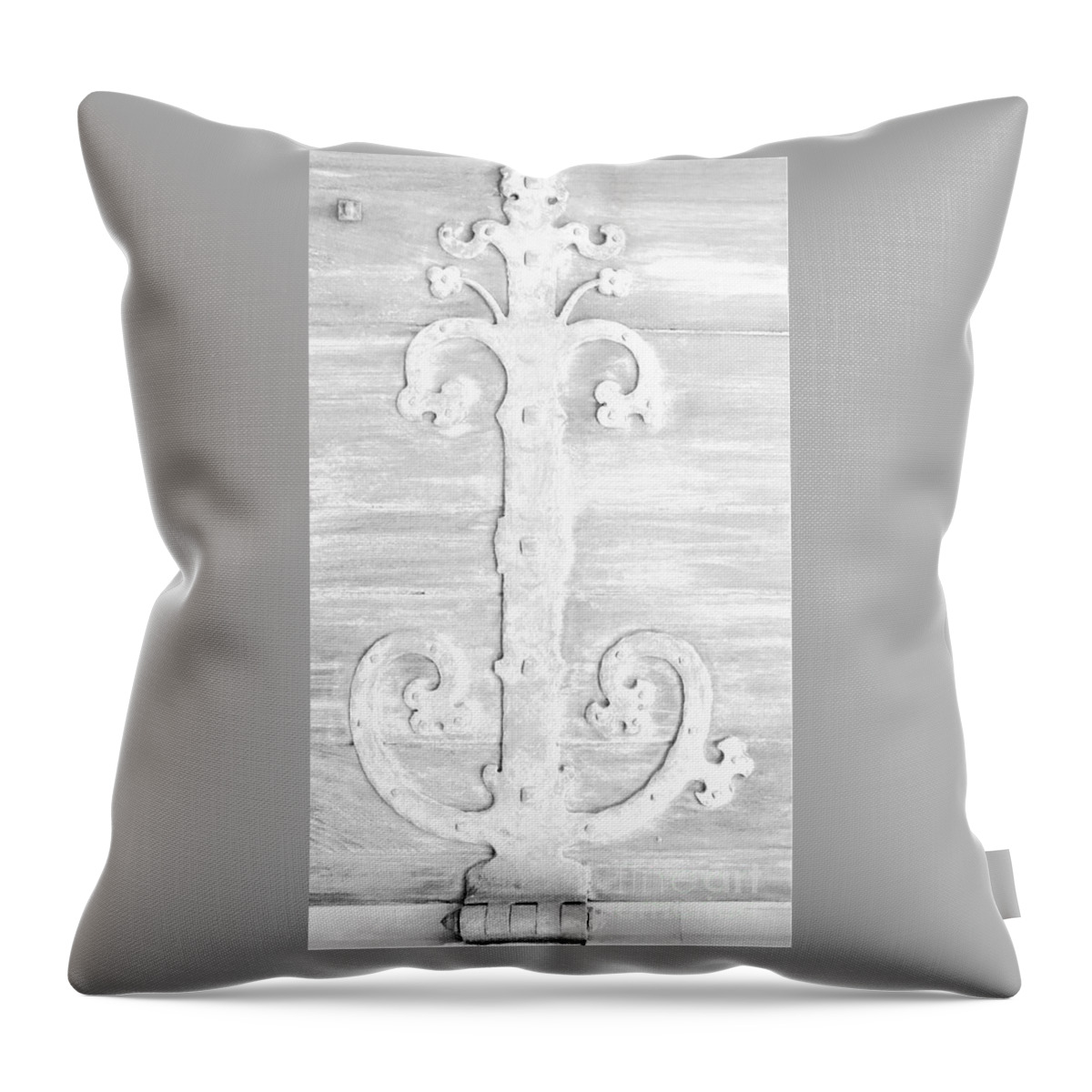 Hinge Throw Pillow featuring the photograph Hinged1 by Merle Grenz