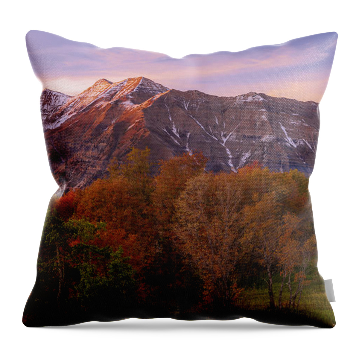 Hint Of Fall Throw Pillow featuring the photograph Hint of Fall by Chad Dutson