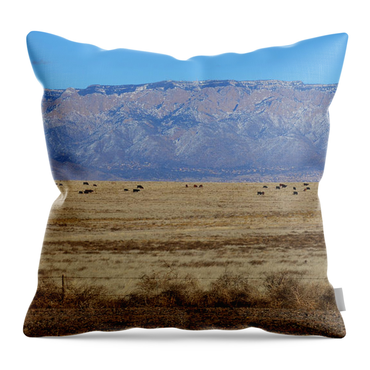 Southwest Landscape Throw Pillow featuring the photograph Home on the range by Robert WK Clark