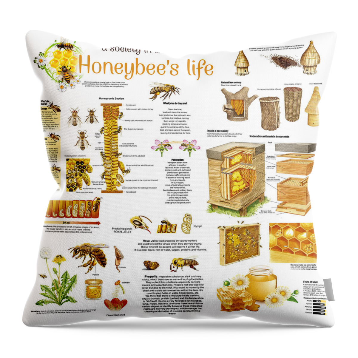 Honey Throw Pillow featuring the drawing Honey Bees Infographic by Gina Dsgn