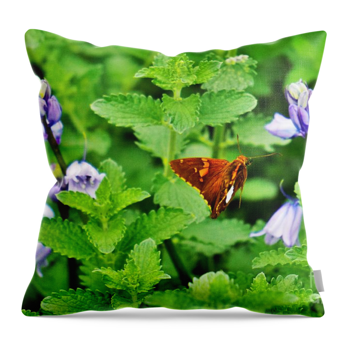 Flowers Throw Pillow featuring the photograph Honing in by Merle Grenz