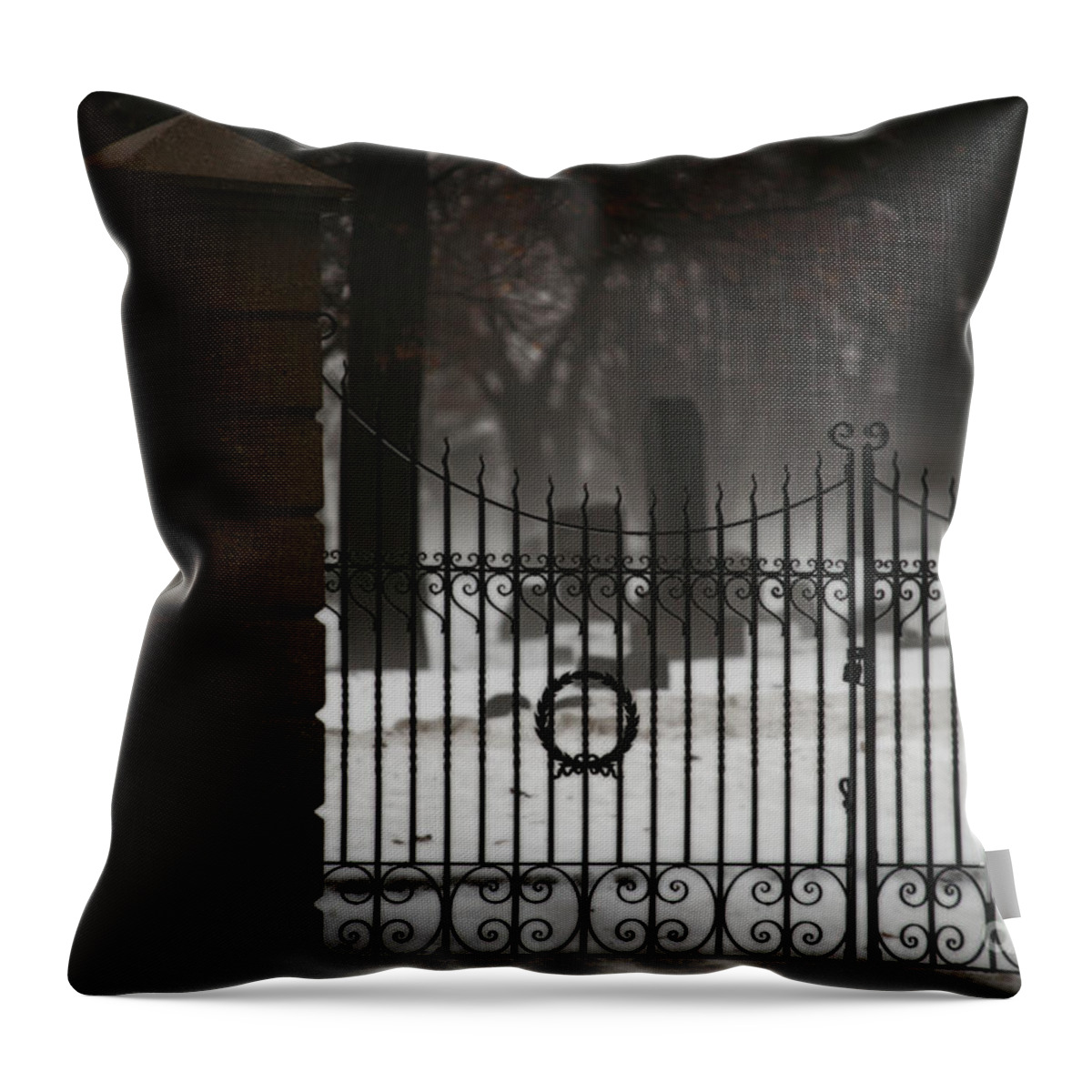 Fence Throw Pillow featuring the photograph Hopeful Expectation by Linda Shafer