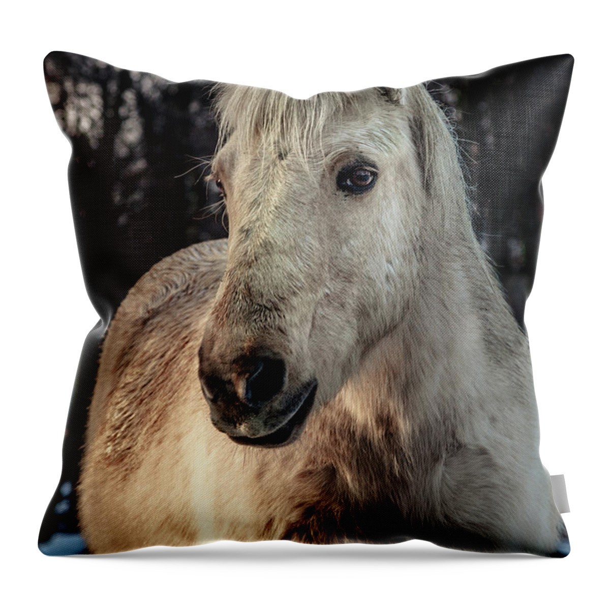 Animal Throw Pillow featuring the photograph Horse portrait by Tim Abeln