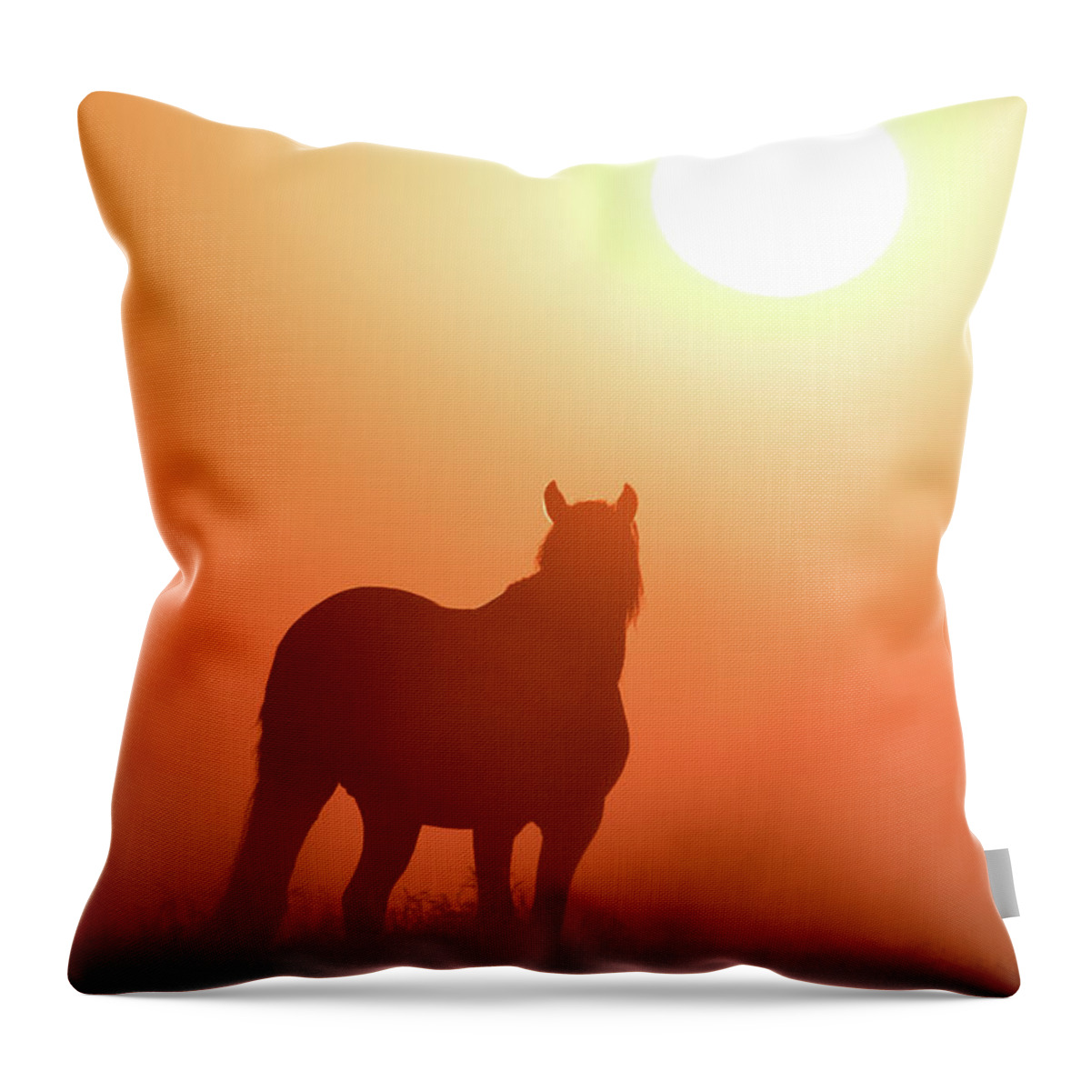 Silhouette Throw Pillow featuring the photograph Horse Silhouette by Wesley Aston
