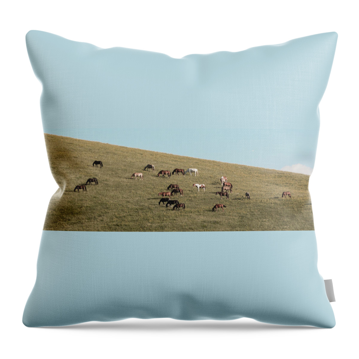 Horses Throw Pillow featuring the photograph Horses On The Hill by D K Wall
