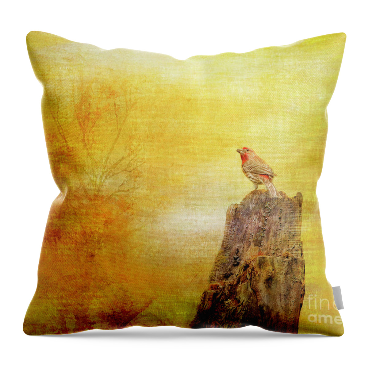 Photography Throw Pillow featuring the photograph House Finch by John Strong