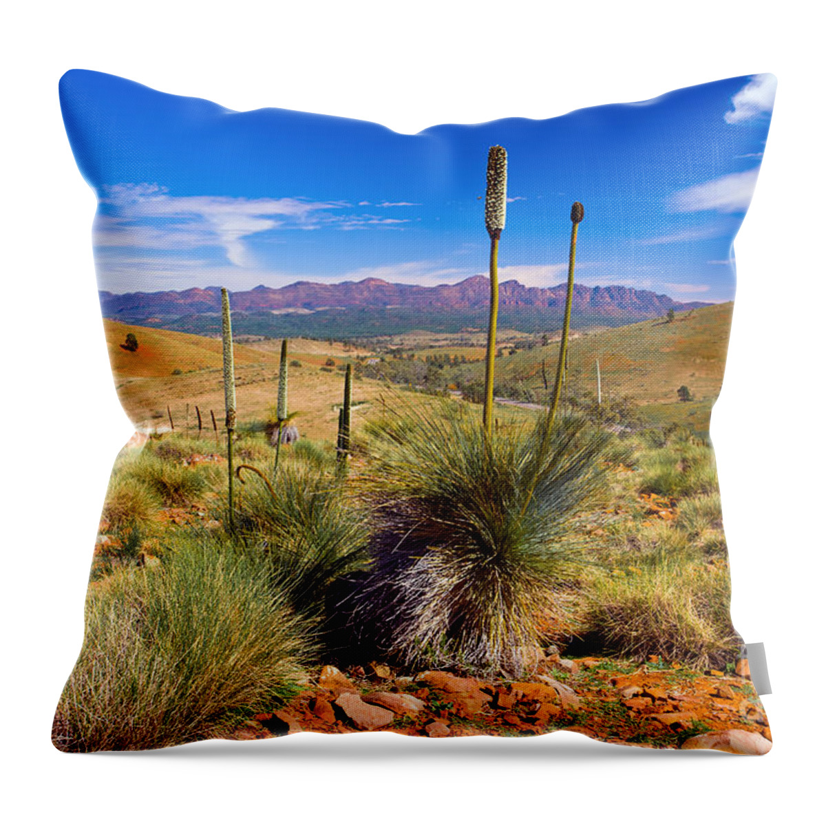 Hucks Lookout Flinders Ranges Wilpena Pound Outback Landscape Landscapes South Australia Australian Throw Pillow featuring the photograph Hucks Lookout by Bill Robinson