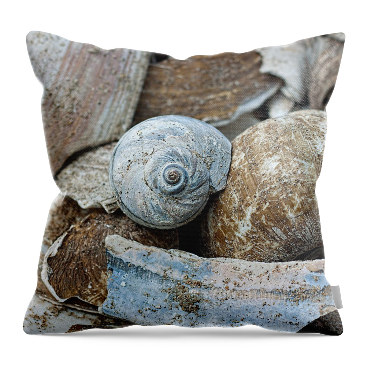 Blue Throw Pillow featuring the photograph Hues of Blue by Theresa Johnson