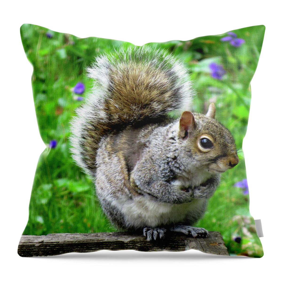 Eastern Grey Squirrels Throw Pillow featuring the photograph Humble Squirrel by Linda Stern