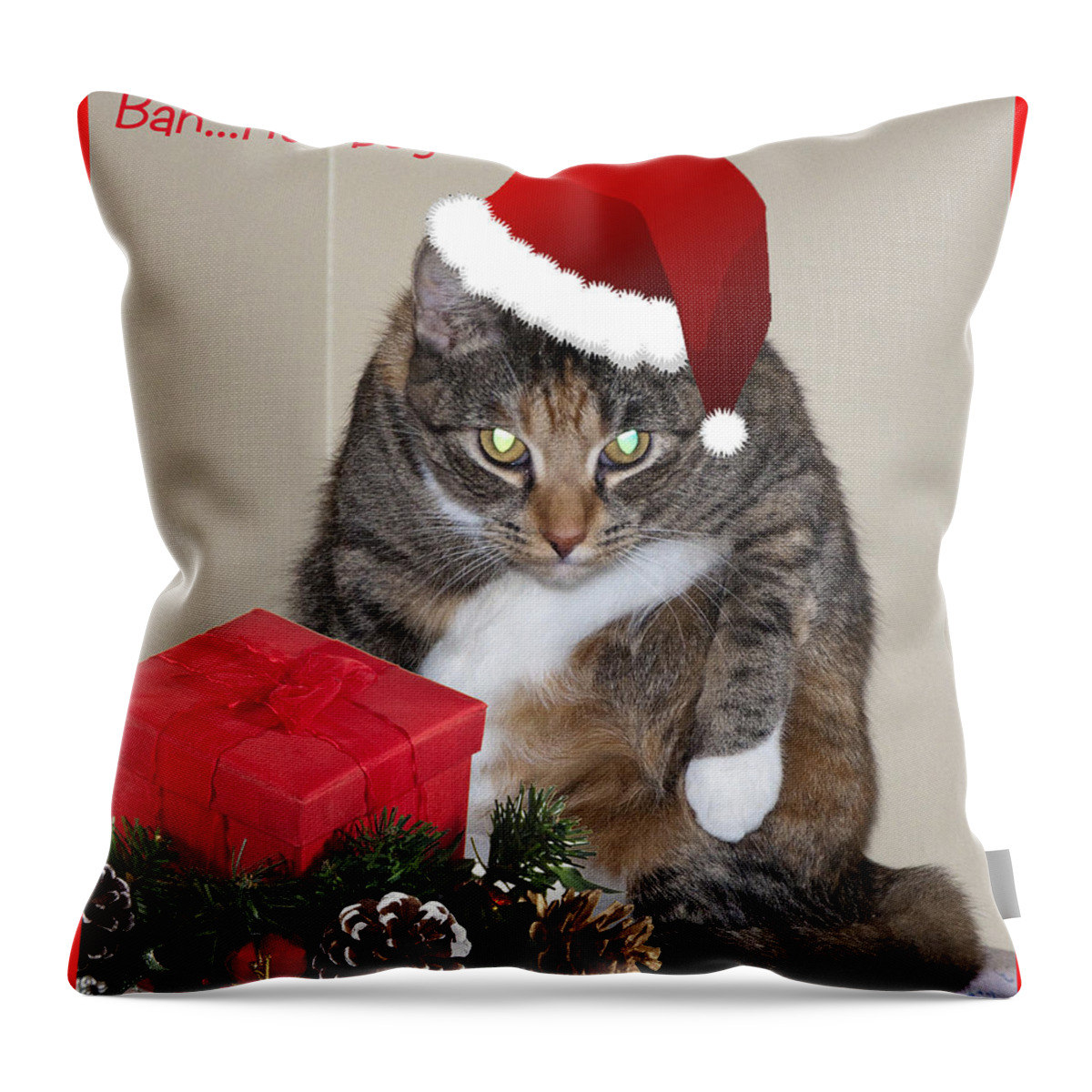 Cat Throw Pillow featuring the photograph Humbug by Cathy Kovarik