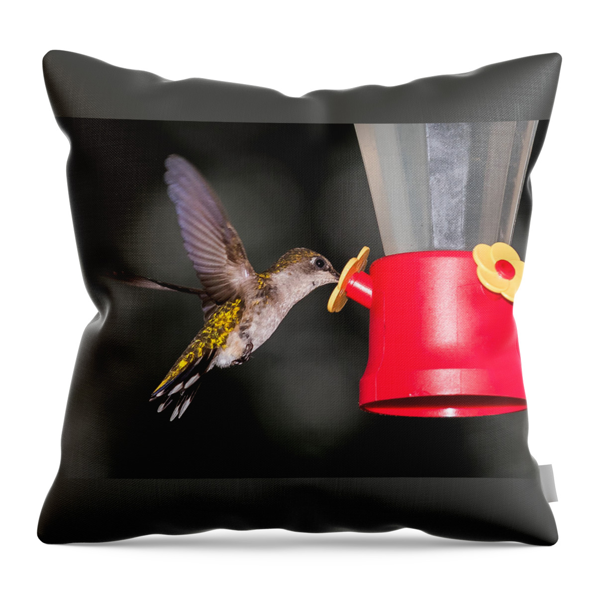 Hummingbird Throw Pillow featuring the photograph Hummingbird Gets A Drink by Holden The Moment