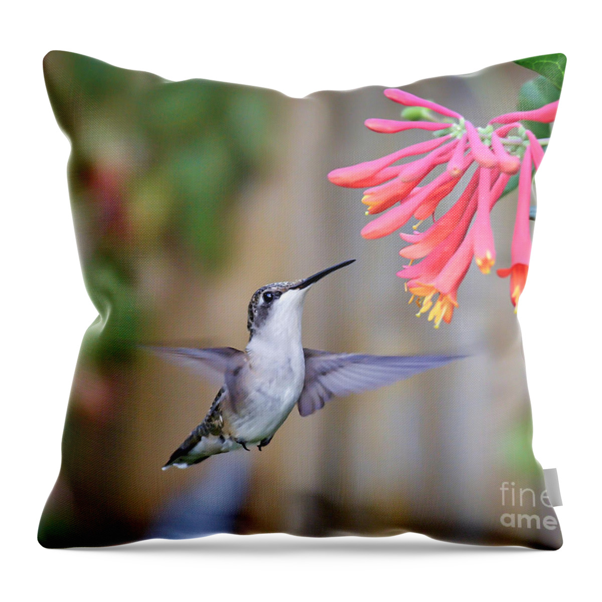 Hummingbird Throw Pillow featuring the photograph Hummingbird Happiness 2 by Kerri Farley