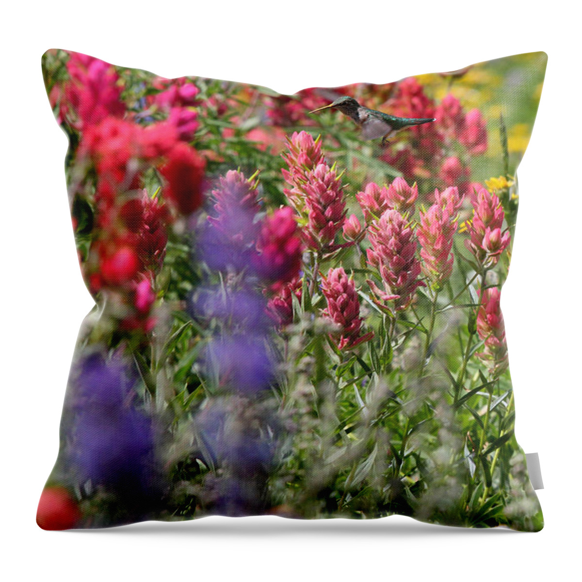 Wildflower Throw Pillow featuring the photograph Hummingbird with Wildflowers by Brett Pelletier