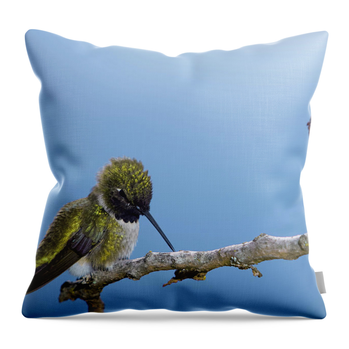 Hummingbird Throw Pillow featuring the photograph Hummingbird13 by Loni Collins