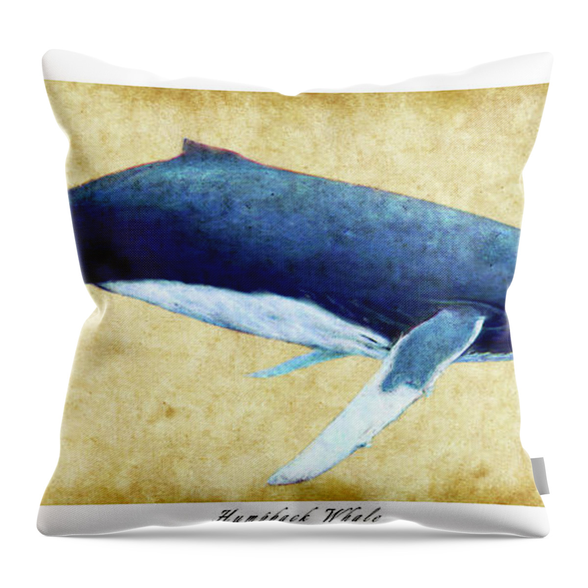 Humpback Throw Pillow featuring the photograph Humpback Whale painting - framed by Weston Westmoreland
