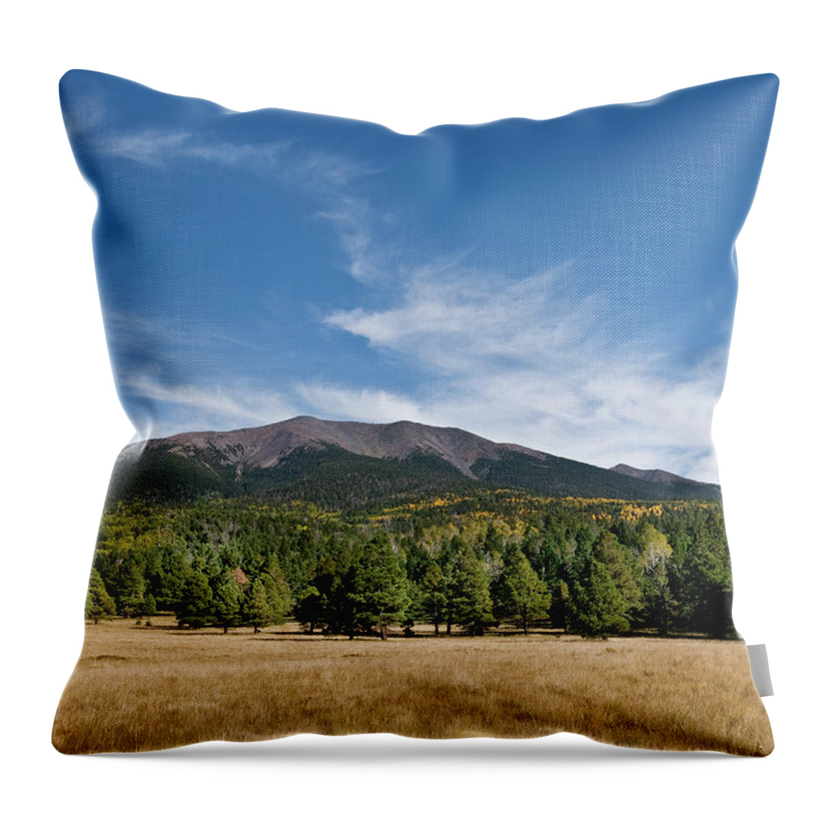 Arizona Throw Pillow featuring the photograph Humphreys Peak from Hart Prairie by Jeff Goulden