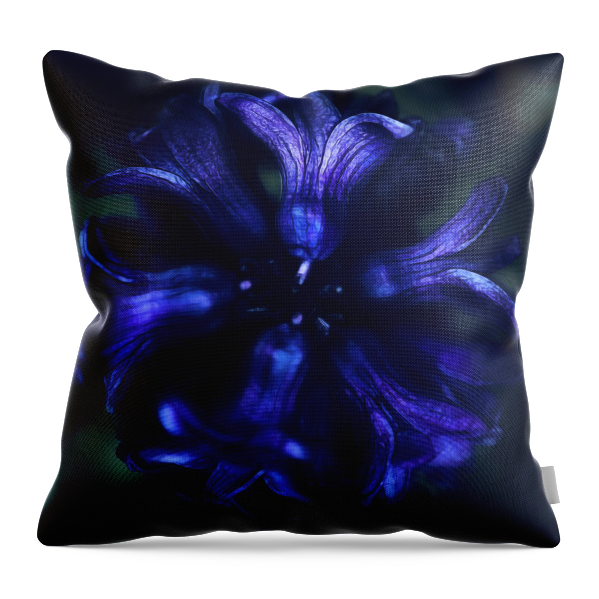 Bloom Throw Pillow featuring the photograph Hyacinth by Robert FERD Frank
