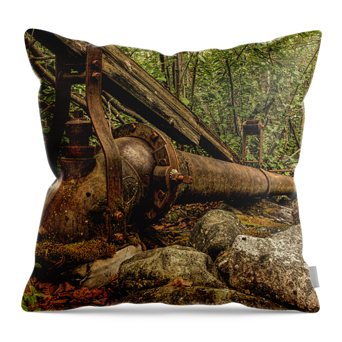 Alaska Throw Pillow featuring the photograph Hydraulic Monitor by Fred Denner
