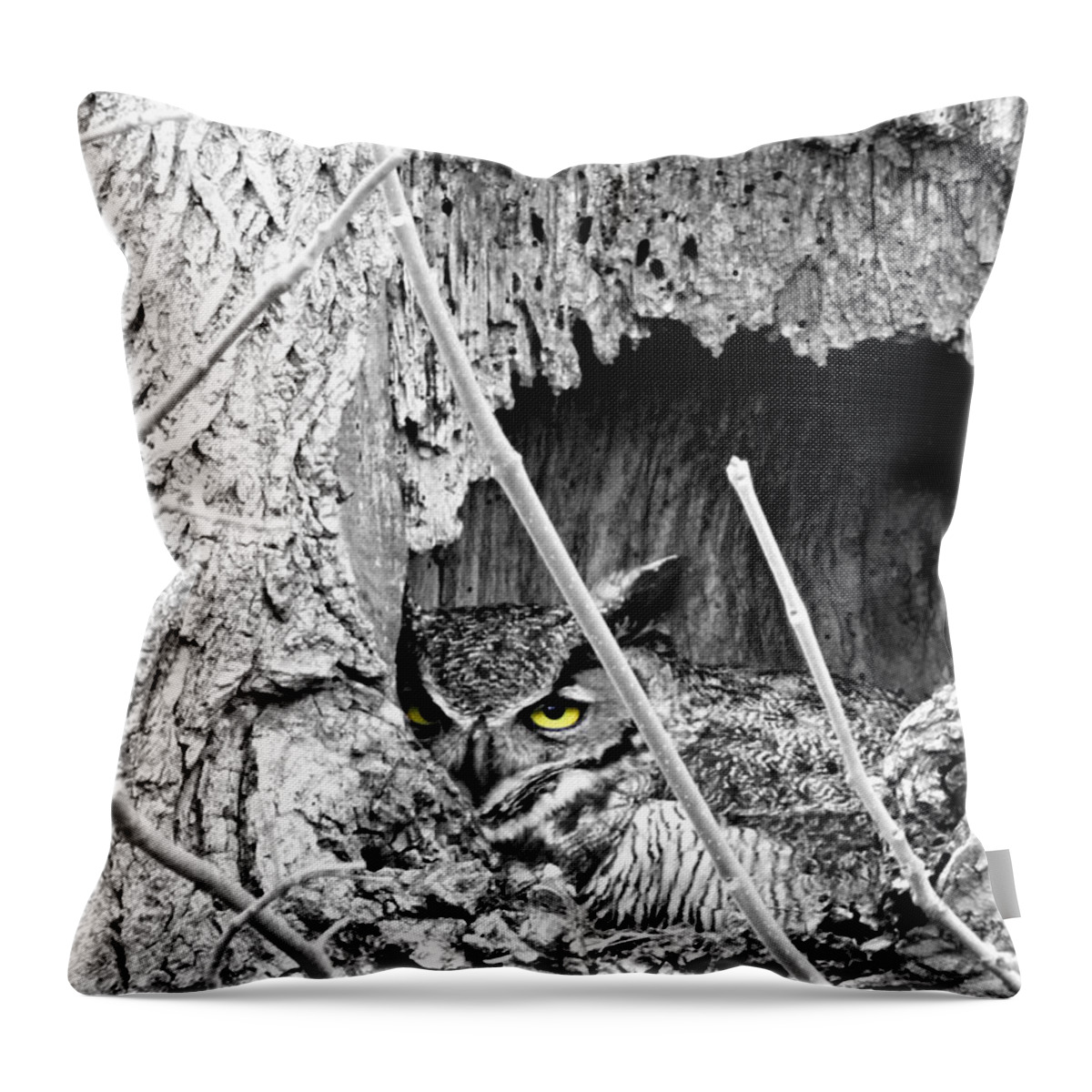 Hypnotic Throw Pillow featuring the photograph Hypnotic by Dark Whimsy