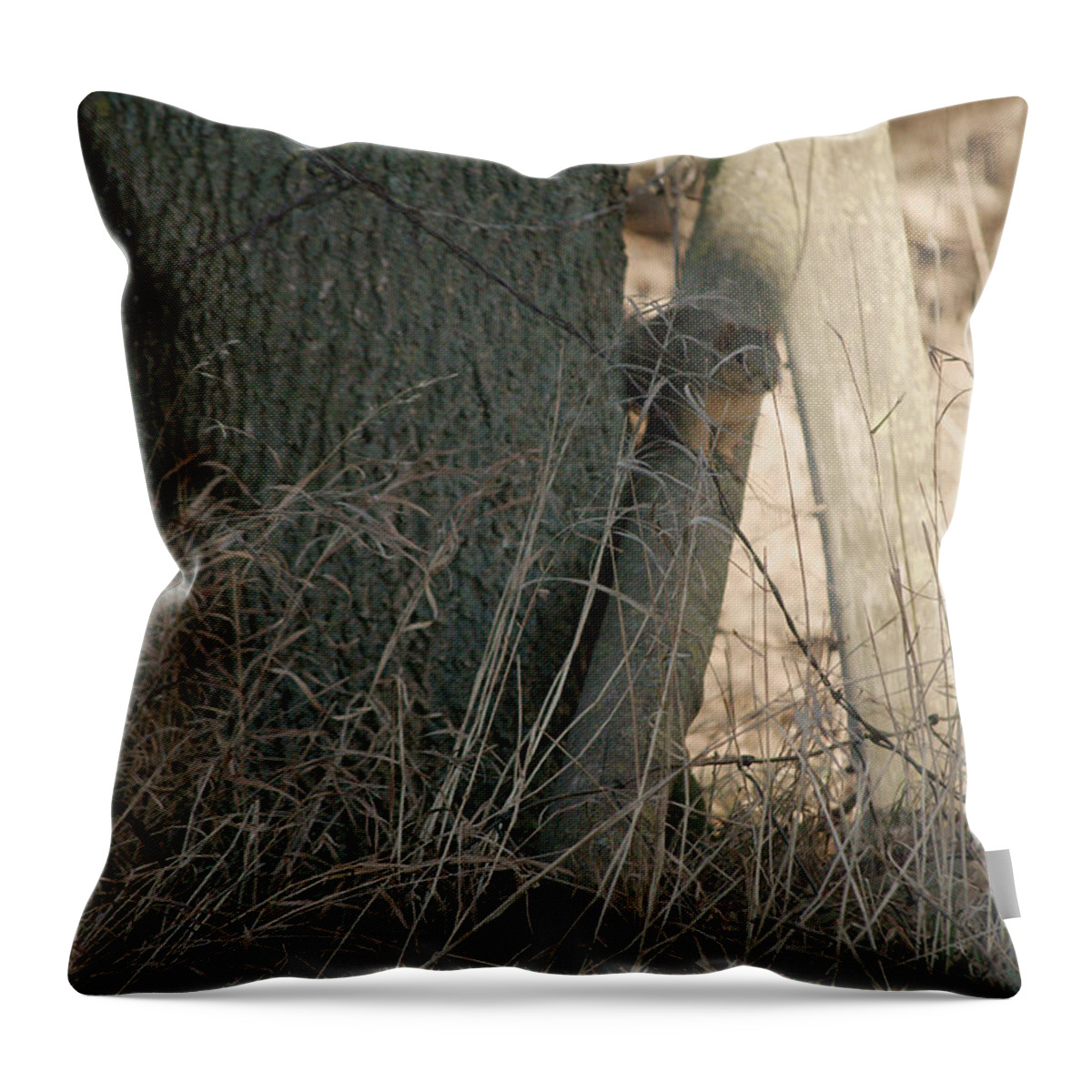 Squirrel Throw Pillow featuring the photograph I see you by Troy Stapek