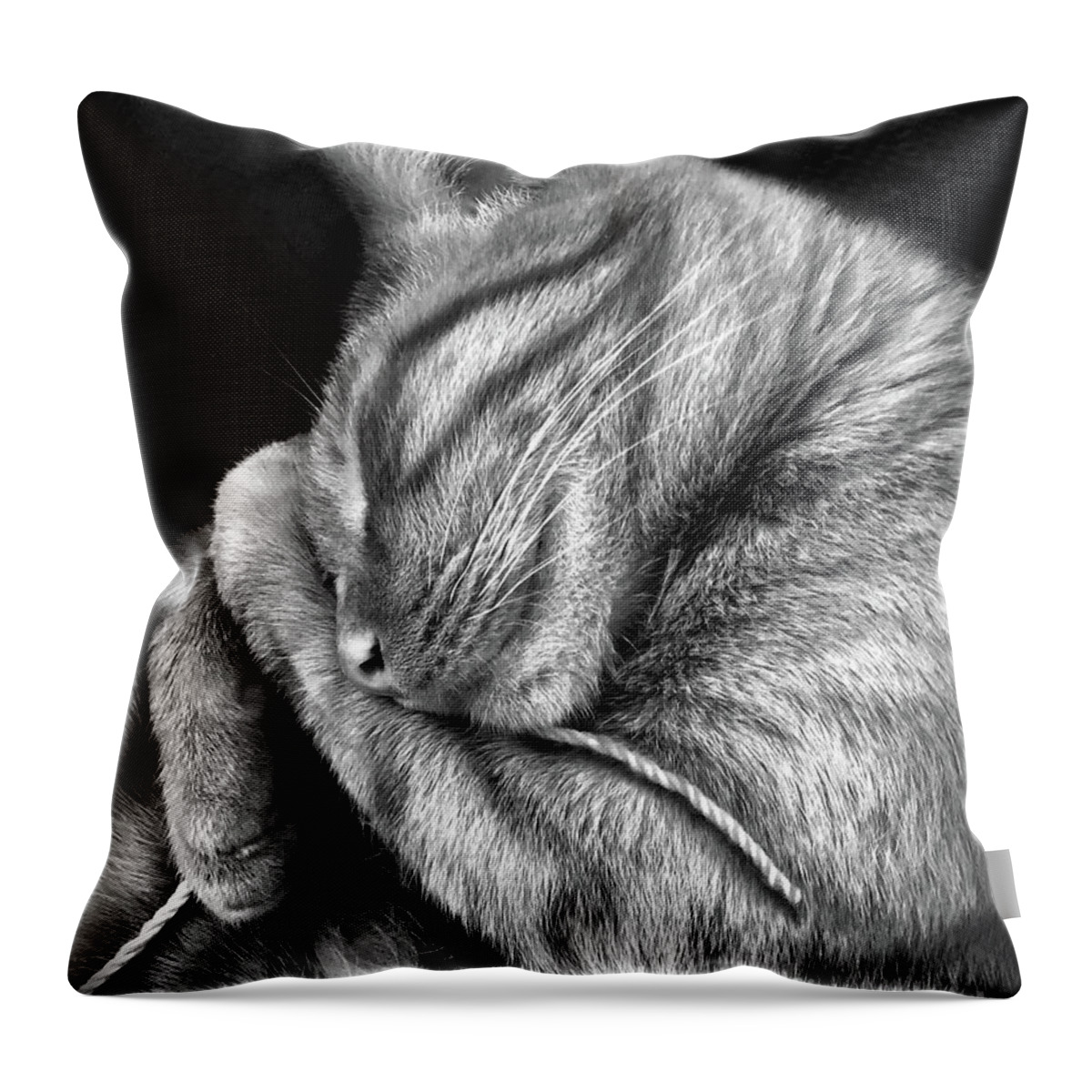 Cat With String Throw Pillow featuring the photograph I Shall Call Him Stringy by Shevon Johnson