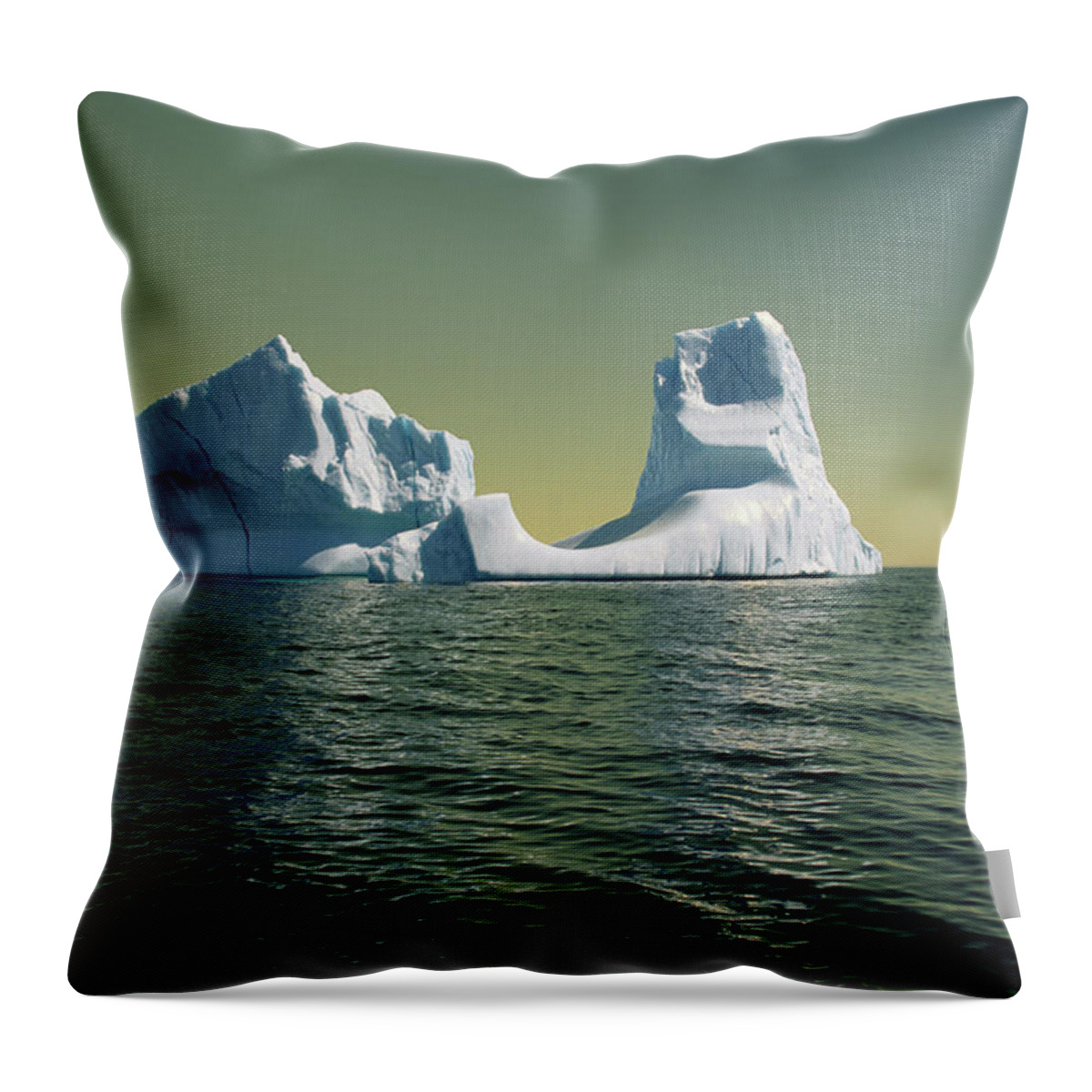 00342146 Throw Pillow featuring the photograph Iceberg in the Labrador Sea by Yva Momatiuk John Eastcott