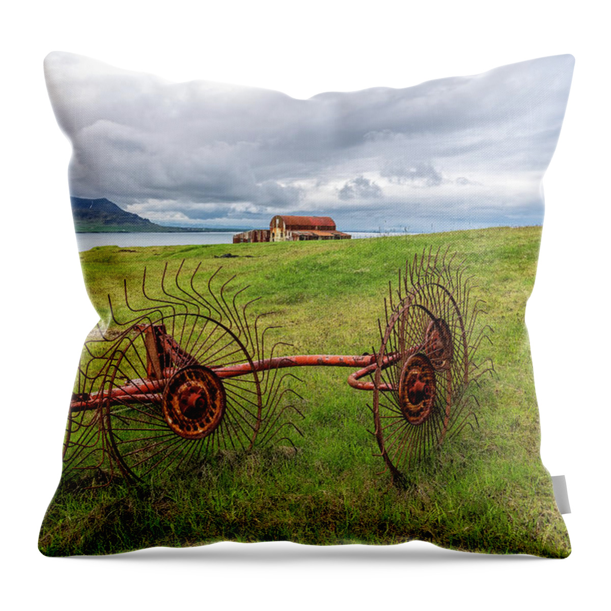 Iceland Throw Pillow featuring the photograph Icelandic Farm by Tom Singleton