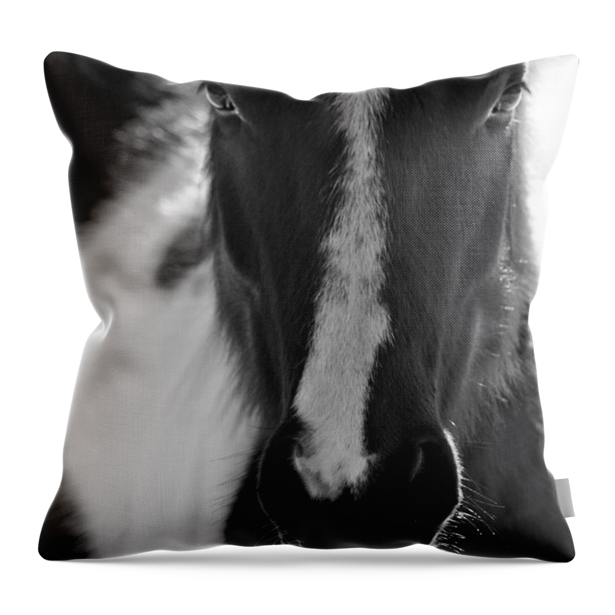 Horse Throw Pillow featuring the photograph iContact by Evelina Kremsdorf