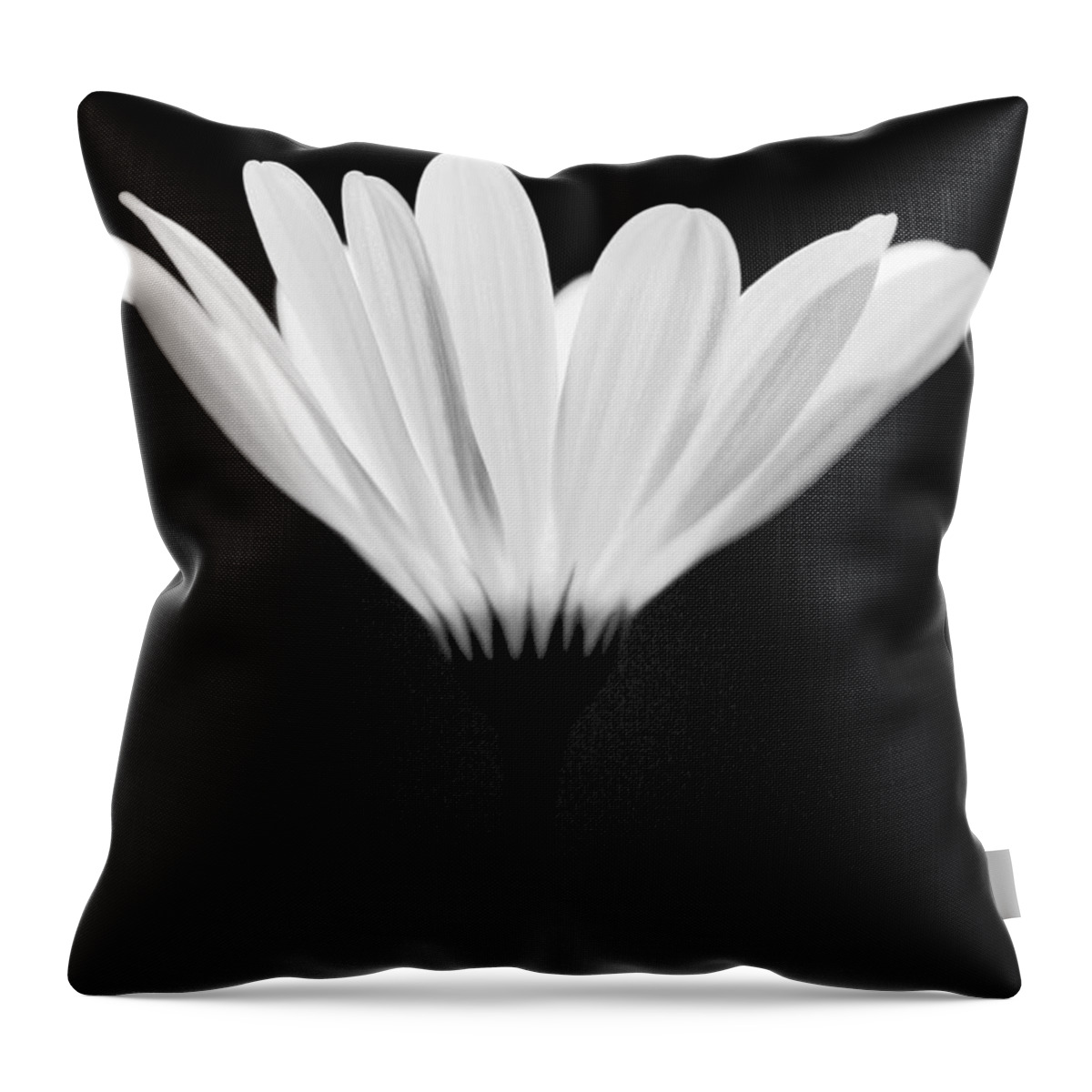 Flower Throw Pillow featuring the photograph Illuminated Lady by Julie Lueders 