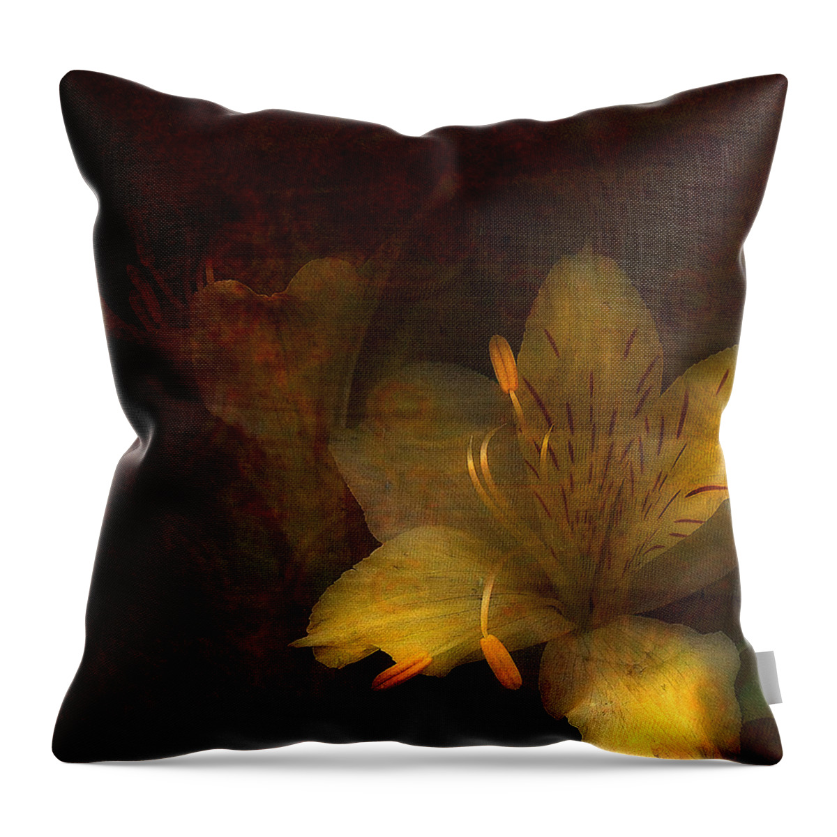Day Lilies Throw Pillow featuring the photograph Illumination by Bonnie Bruno