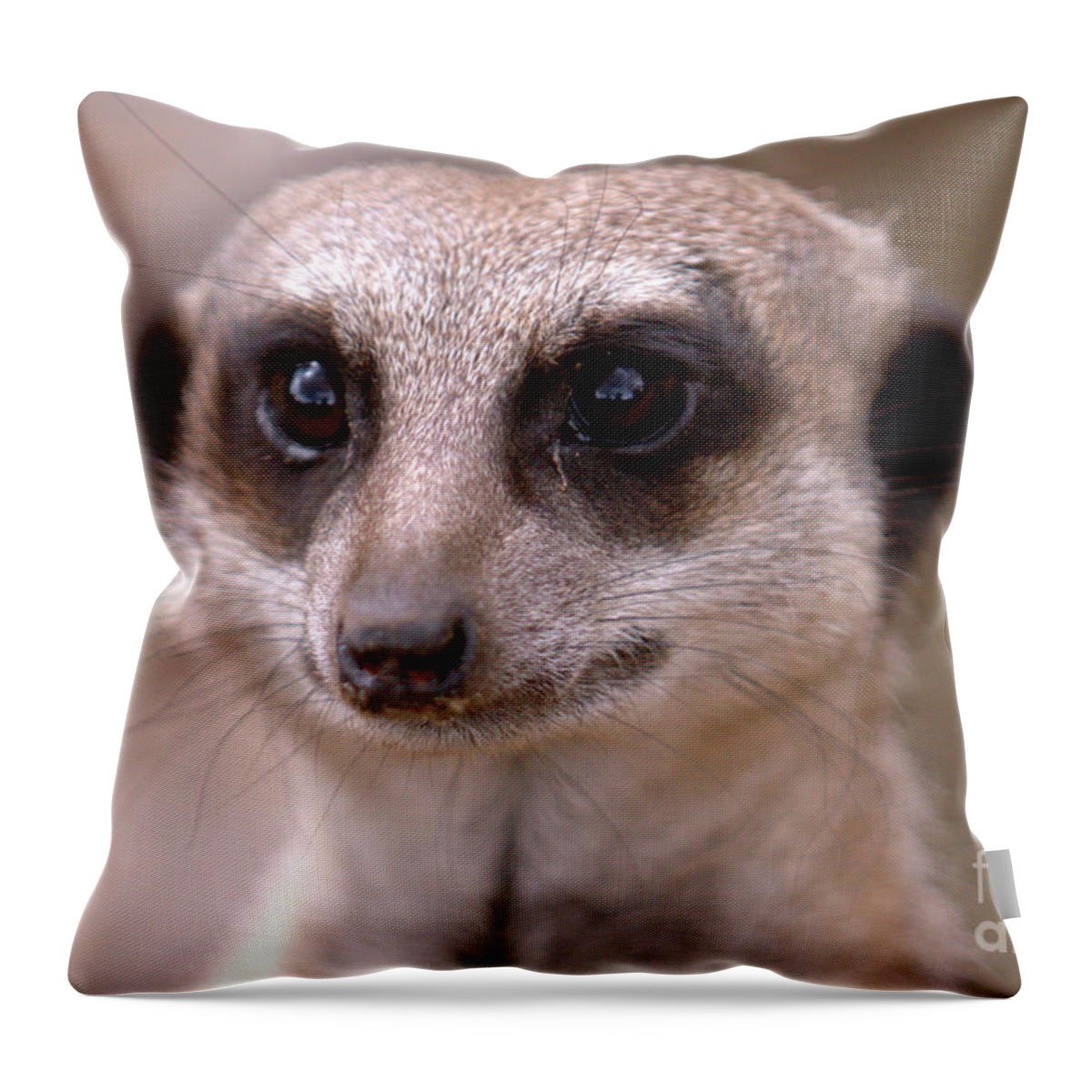 Animal. Meerkat Throw Pillow featuring the photograph Im Watching You by Baggieoldboy
