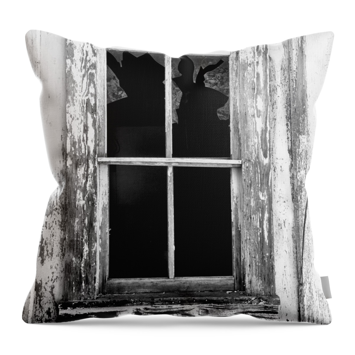 Broken Glass Throw Pillow featuring the photograph Imagination by Brad Hodges