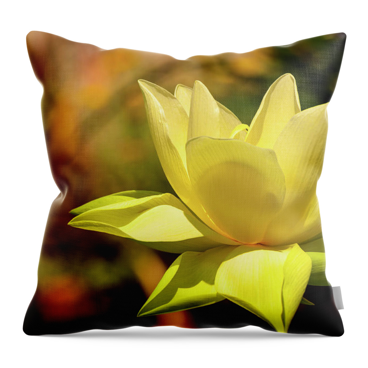 Flower Throw Pillow featuring the photograph In Bloom by Charles McCleanon