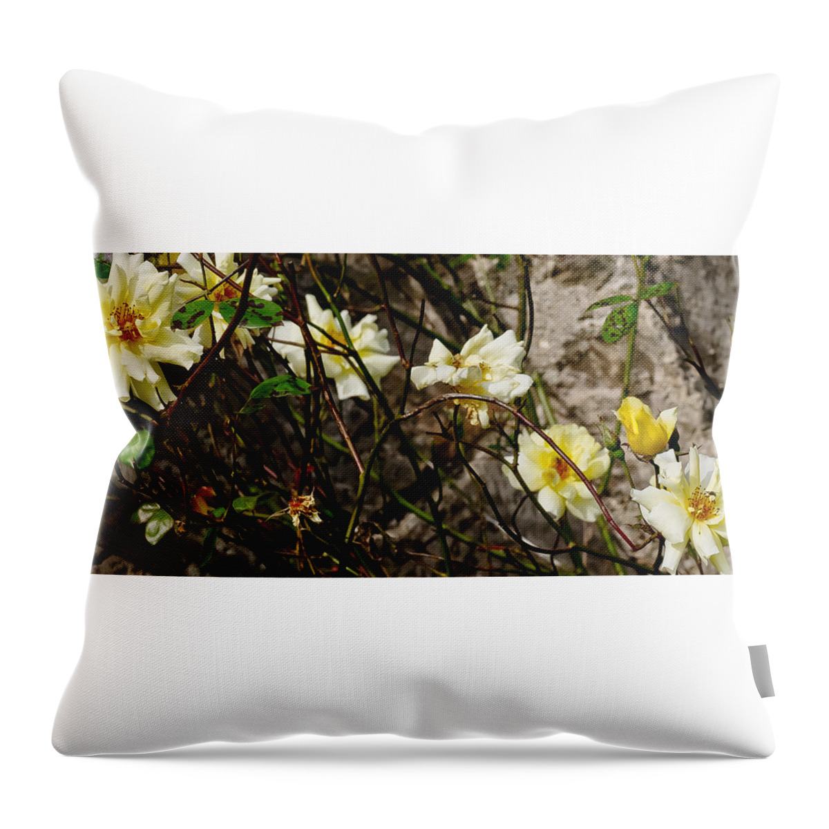 Roses Throw Pillow featuring the photograph In opposite corners. by Elena Perelman
