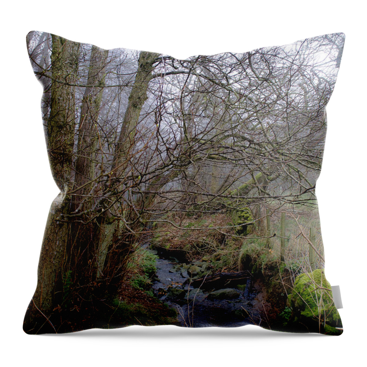 Stream Throw Pillow featuring the photograph In the Forest. by Elena Perelman