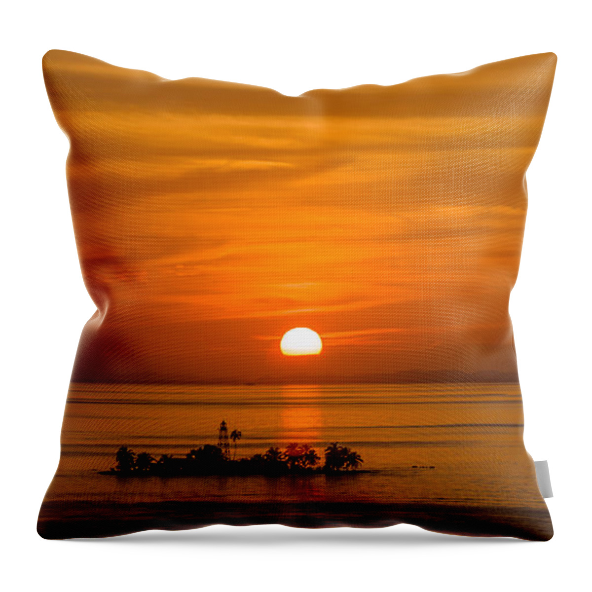 Landscape Throw Pillow featuring the photograph In the middle of no-where by Charles McCleanon