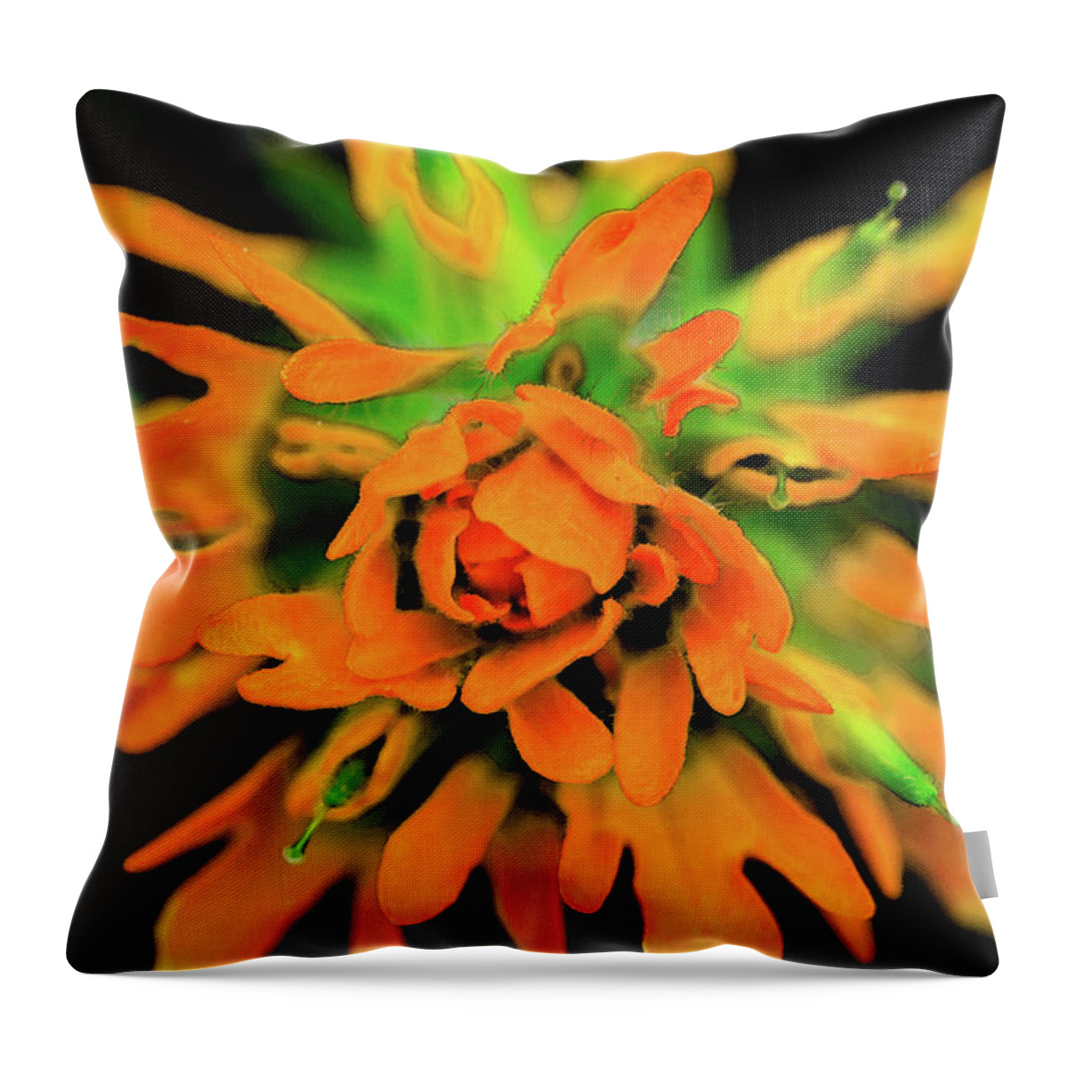 Flower Throw Pillow featuring the photograph Indian Paintbrush by Winnie Chrzanowski