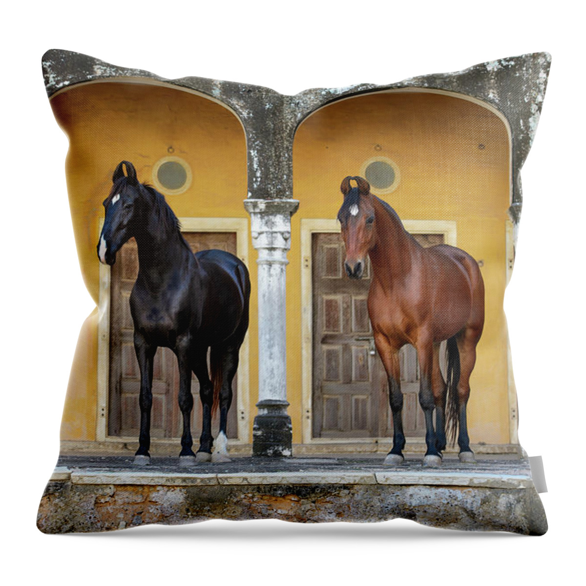 Russian Artists New Wave Throw Pillow featuring the photograph Indian Princesses by Ekaterina Druz