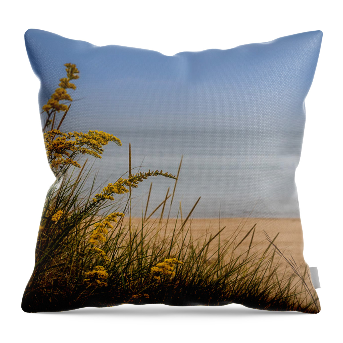 Beach Throw Pillow featuring the photograph Indiana Dunes on Lake Michigan by Ron Pate
