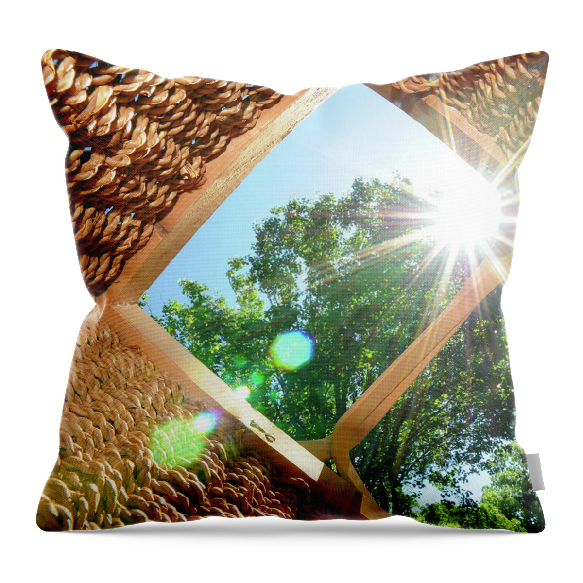 Picnic Throw Pillow featuring the photograph Inside the Picnic basket by Ted Keller