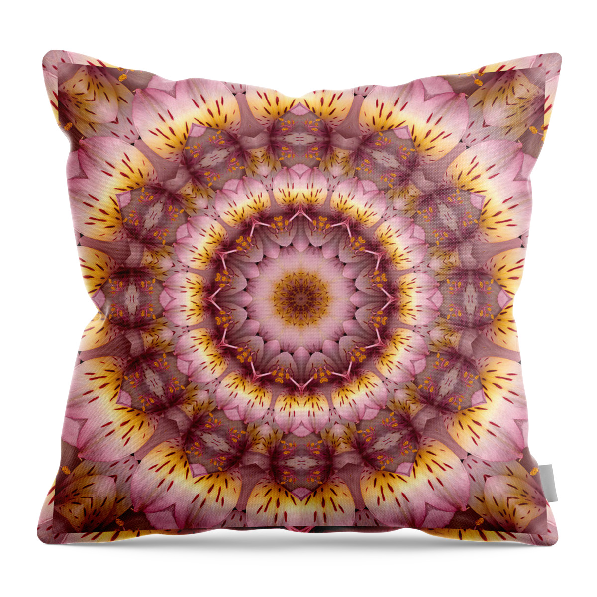 Mandalas Throw Pillow featuring the photograph Inspiration by Bell And Todd