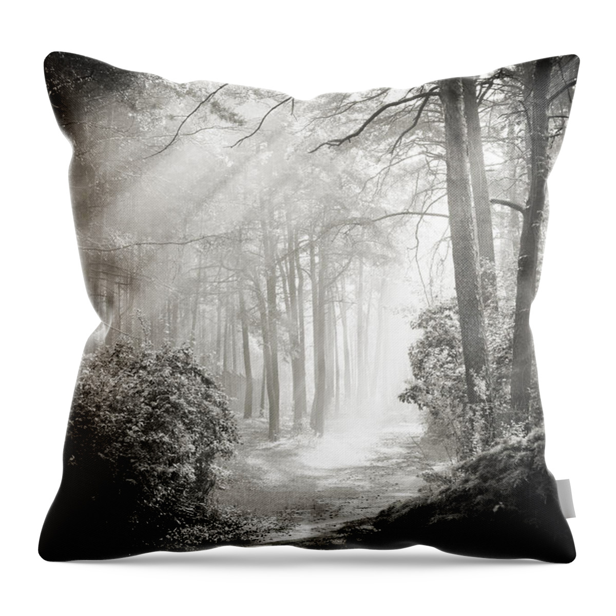 Forest Throw Pillow featuring the photograph Into the Forest - Nr. 2 by Dorit Fuhg